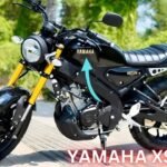 _Yamaha XSR 155